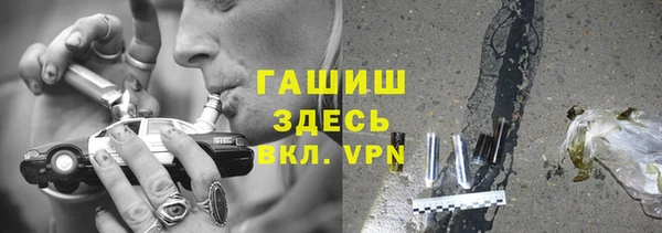 гашик Алексеевка