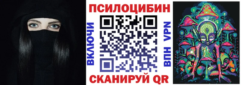 купить  цена  мориарти какой сайт  Псилоцибиновые грибы прущие грибы  Правдинск  kraken  